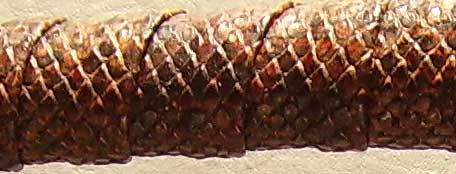 Peitschengriff Python Detail